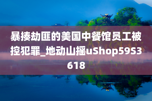 暴揍劫匪的美国中餐馆员工被控犯罪_地动山摇uShop59S3618