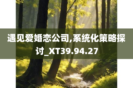 遇见爱婚恋公司,系统化策略探讨_XT39.94.27