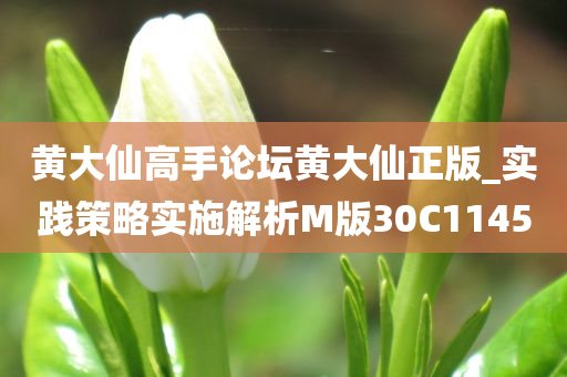 黄大仙高手论坛黄大仙正版_实践策略实施解析M版30C1145