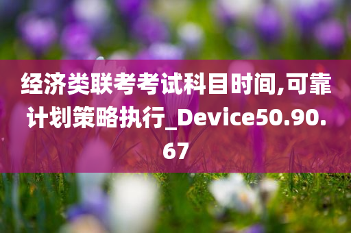 经济类联考考试科目时间,可靠计划策略执行_Device50.90.67