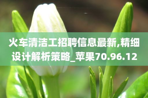 火车清洁工招聘信息最新,精细设计解析策略_苹果70.96.12