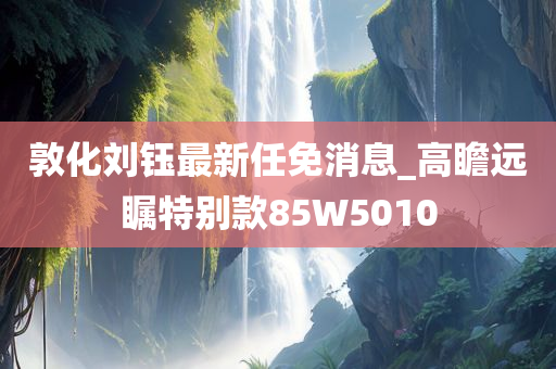 敦化刘钰最新任免消息_高瞻远瞩特别款85W5010