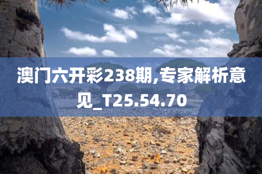 澳门六开彩238期,专家解析意见_T25.54.70