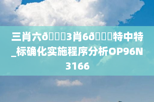 三肖六🐎3肖6🐎特中特_标确化实施程序分析OP96N3166