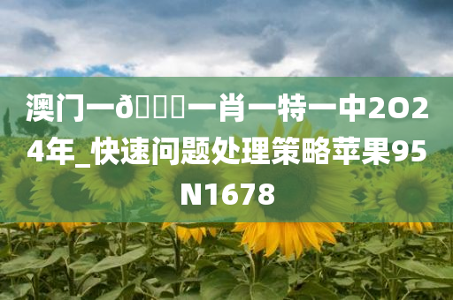 澳门一🐎一肖一特一中2O24年_快速问题处理策略苹果95N1678