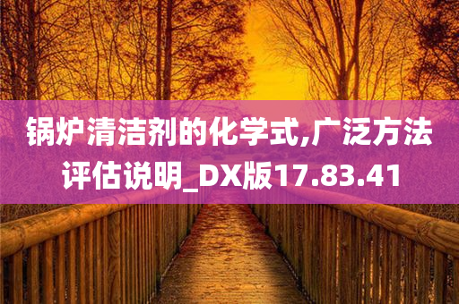 锅炉清洁剂的化学式,广泛方法评估说明_DX版17.83.41