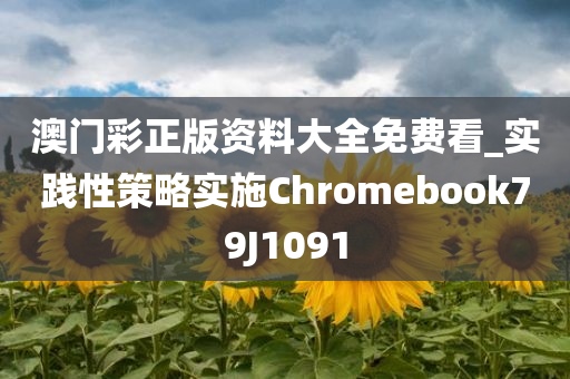 澳门彩正版资料大全免费看_实践性策略实施Chromebook79J1091