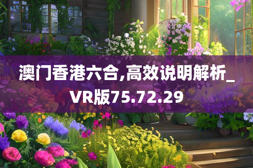 澳门香港六合,高效说明解析_VR版75.72.29