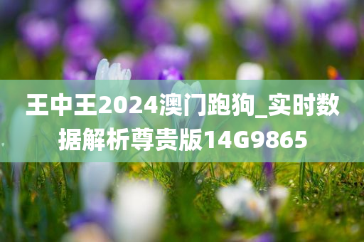 王中王2024澳门跑狗_实时数据解析尊贵版14G9865