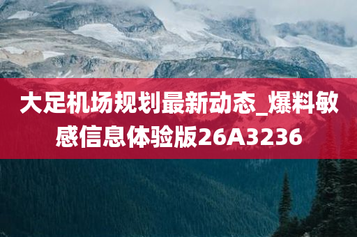 大足机场规划最新动态_爆料敏感信息体验版26A3236