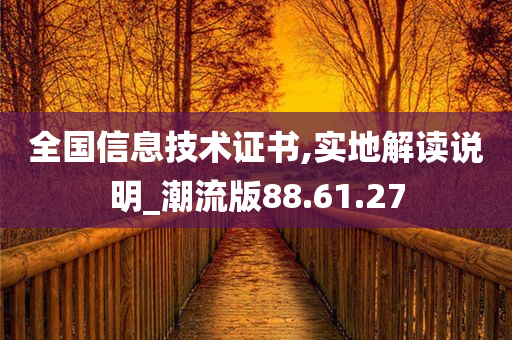 全国信息技术证书,实地解读说明_潮流版88.61.27