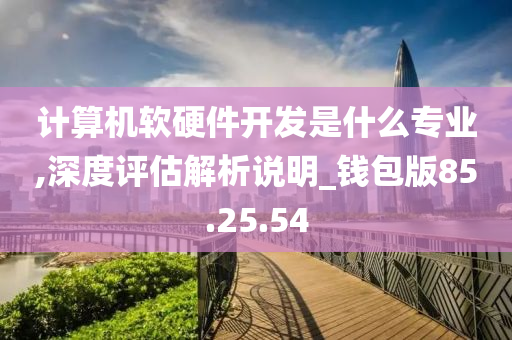 计算机软硬件开发是什么专业,深度评估解析说明_钱包版85.25.54