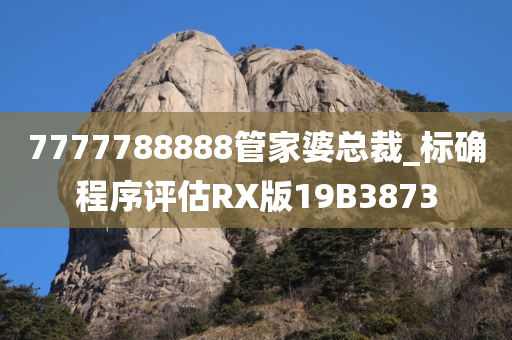 7777788888管家婆总裁_标确程序评估RX版19B3873