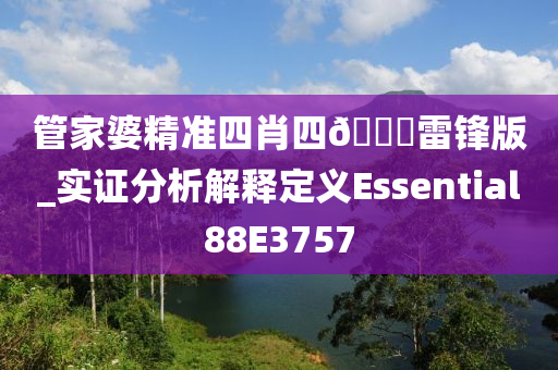 管家婆精准四肖四🐎雷锋版_实证分析解释定义Essential88E3757