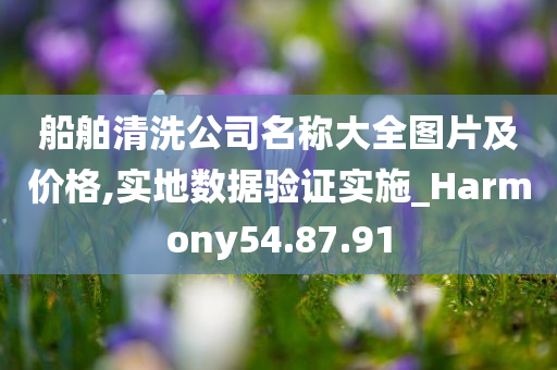 船舶清洗公司名称大全图片及价格,实地数据验证实施_Harmony54.87.91