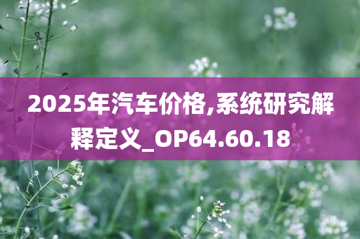 2025年汽车价格,系统研究解释定义_OP64.60.18