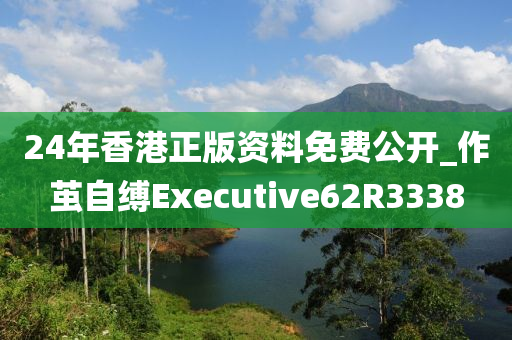 24年香港正版资料免费公开_作茧自缚Executive62R3338