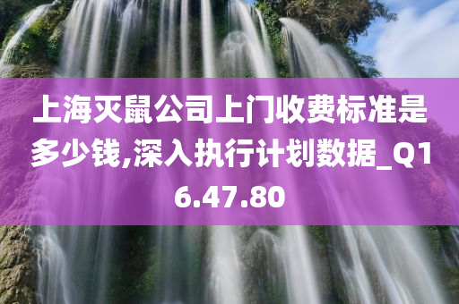 上海灭鼠公司上门收费标准是多少钱,深入执行计划数据_Q16.47.80