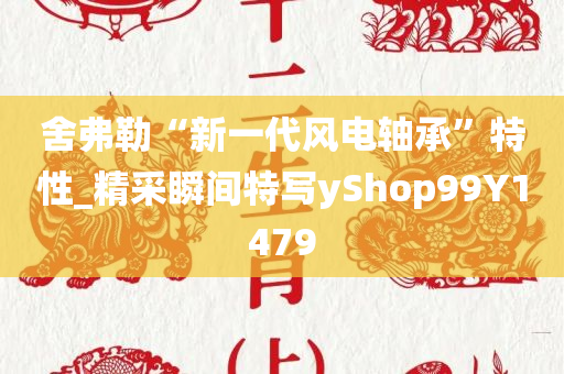 舍弗勒“新一代风电轴承”特性_精采瞬间特写yShop99Y1479