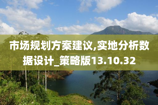 市场规划方案建议,实地分析数据设计_策略版13.10.32