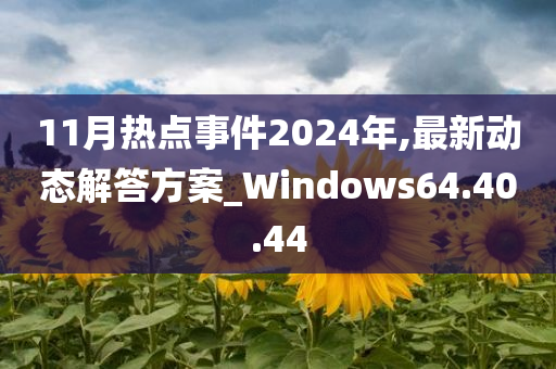 11月热点事件2024年,最新动态解答方案_Windows64.40.44