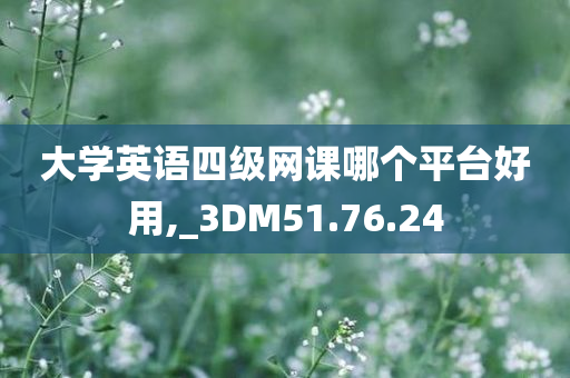 大学英语四级网课哪个平台好用,_3DM51.76.24