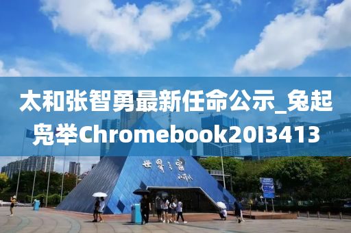 太和张智勇最新任命公示_兔起凫举Chromebook20I3413