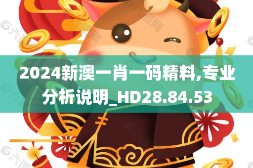 2024新澳一肖一码精料,专业分析说明_HD28.84.53