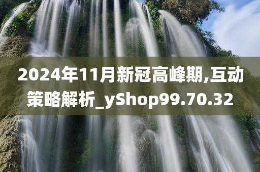 2024年11月新冠高峰期,互动策略解析_yShop99.70.32