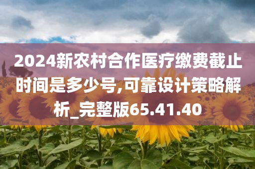 2024新农村合作医疗缴费截止时间是多少号,可靠设计策略解析_完整版65.41.40