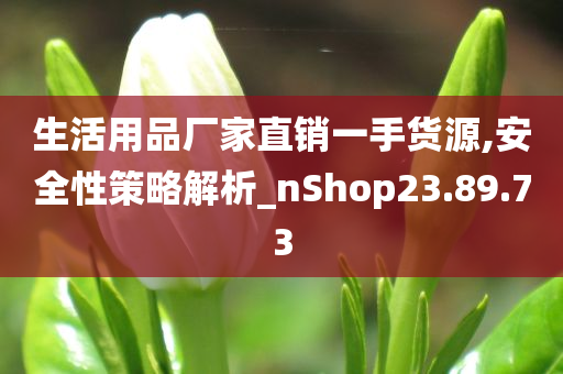 生活用品厂家直销一手货源,安全性策略解析_nShop23.89.73