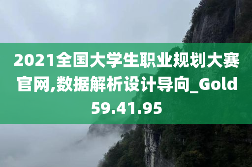 2021全国大学生职业规划大赛官网,数据解析设计导向_Gold59.41.95