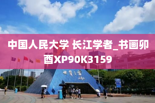 中国人民大学 长江学者_书画卯酉XP90K3159