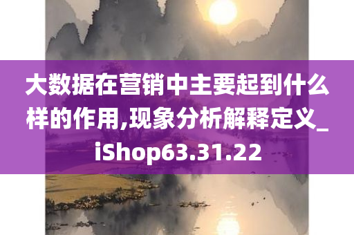 大数据在营销中主要起到什么样的作用,现象分析解释定义_iShop63.31.22