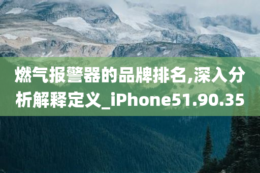 燃气报警器的品牌排名,深入分析解释定义_iPhone51.90.35