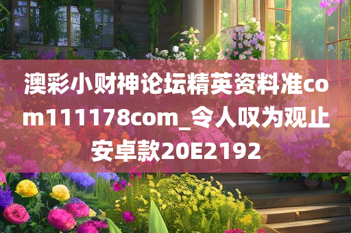 澳彩小财神论坛精英资料准com111178com_令人叹为观止安卓款20E2192