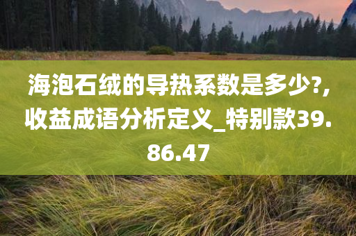 海泡石绒的导热系数是多少?,收益成语分析定义_特别款39.86.47