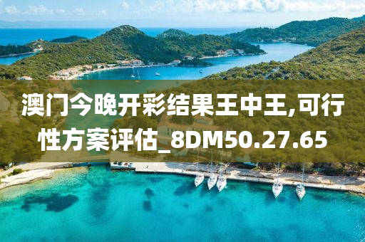 澳门今晚开彩结果王中王,可行性方案评估_8DM50.27.65