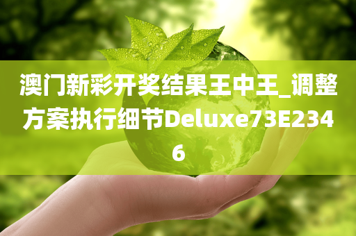 澳门新彩开奖结果王中王_调整方案执行细节Deluxe73E2346