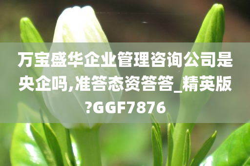 万宝盛华企业管理咨询公司是央企吗,准答态资答答_精英版?GGF7876