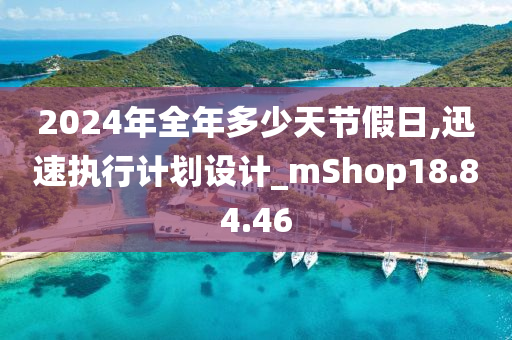 2024年全年多少天节假日,迅速执行计划设计_mShop18.84.46