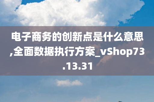 电子商务的创新点是什么意思,全面数据执行方案_vShop73.13.31