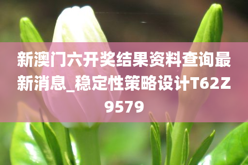 新澳门六开奖结果资料查询最新消息_稳定性策略设计T62Z9579