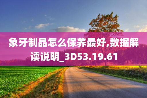 象牙制品怎么保养最好,数据解读说明_3D53.19.61