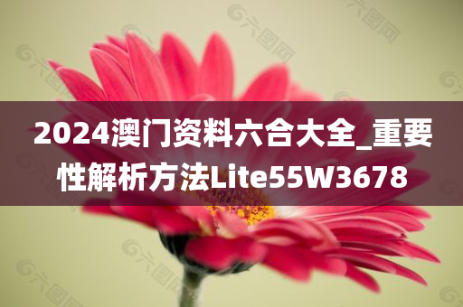 2024澳门资料六合大全_重要性解析方法Lite55W3678