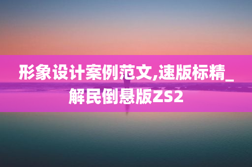 形象设计案例范文,速版标精_解民倒悬版ZS2