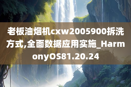 老板油烟机cxw2005900拆洗方式,全面数据应用实施_HarmonyOS81.20.24