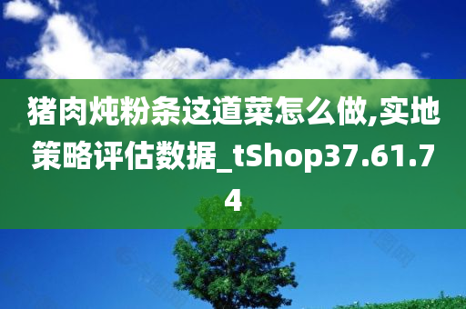 猪肉炖粉条这道菜怎么做,实地策略评估数据_tShop37.61.74