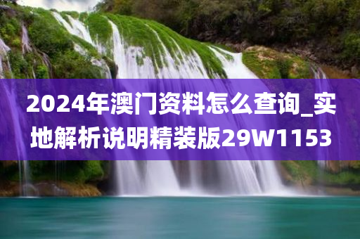 2024年澳门资料怎么查询_实地解析说明精装版29W1153