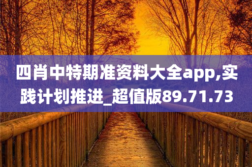 四肖中特期准资料大全app,实践计划推进_超值版89.71.73